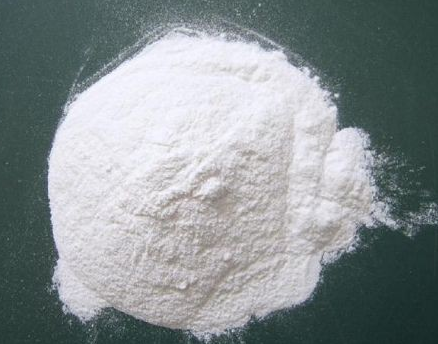 星空电竞官方登录入口